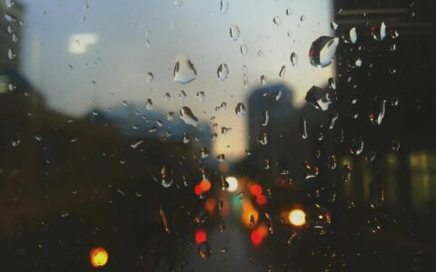 Controlli di Ferragosto sul litorale: le immagini